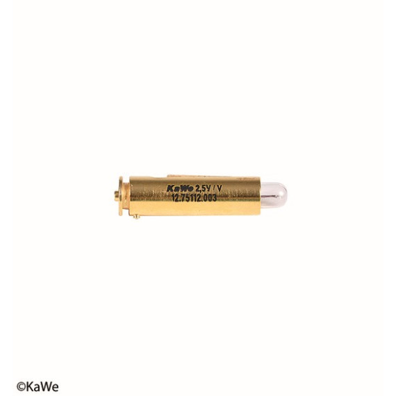 Вакуумная лампа / 2,5 В