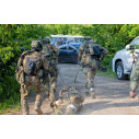 Носилки «ВОЛОКУШИ» модель №2 компактные купить в Минске